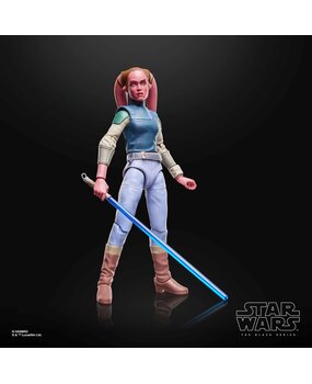 Hasbro Star Wars Maul - Shadow Lord Black Series Action Figure Devon Izara 15 cm