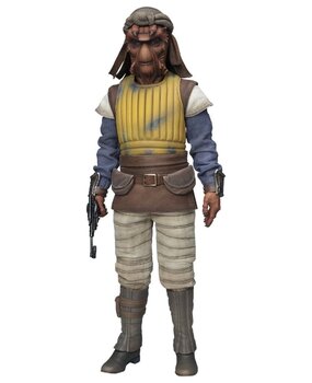 Sideshow Collectibles Star Wars Action Figure 1/6 Vizam 32 cm