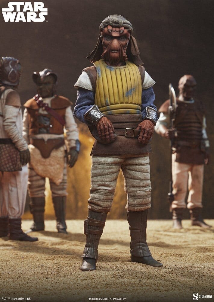 Sideshow Collectibles Star Wars Action Figure 1/6 Vizam 32 cm