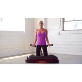 LMX2106 Terra-Core®