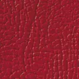 K7XP94-1 Zit kussen rood