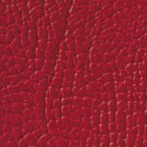 K7XP94-1 Zit kussen rood met zwarte sticksel