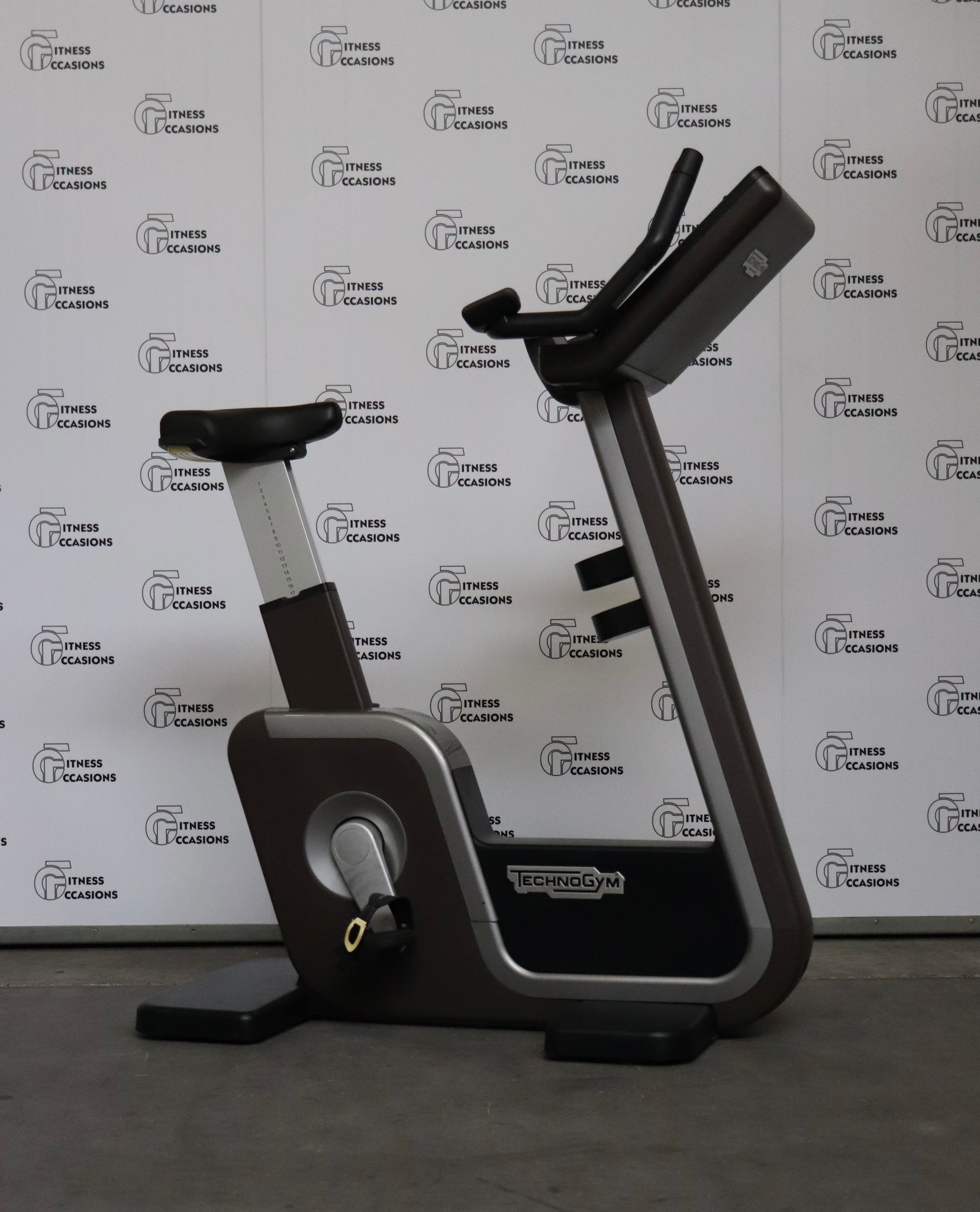 Bike Artis Technogym