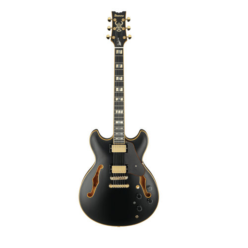 Ibanez JSM20 John Scofield signature Ibanez JSM20 John Scofield signature