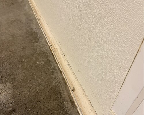 Kunststof vs. hout wandbescherming | Wat is de beste keuze?