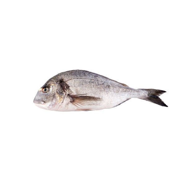 Seafoodmarkt Seabream Royale (scaled)