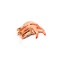 Seafoodmarkt Crevettes gekookt 40-60 stuks p/kg