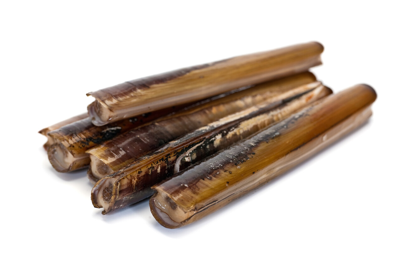 Fresh Razor Clams SeafoodMarkt