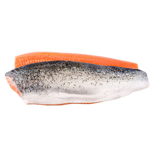 Norwegian salmon fillet skin on