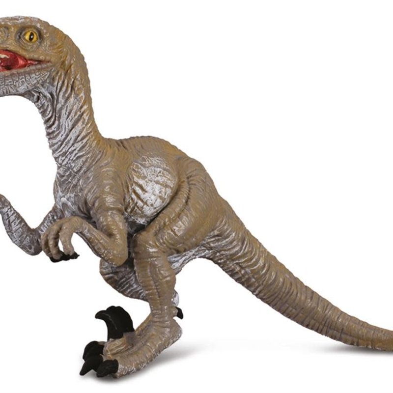 Collecta Velociraptor - (M)