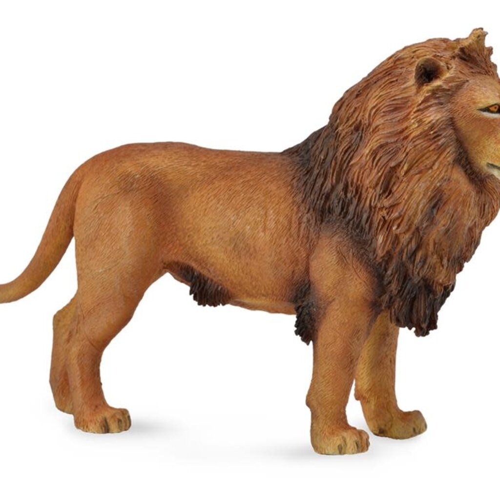 Collecta African Lion - (L)