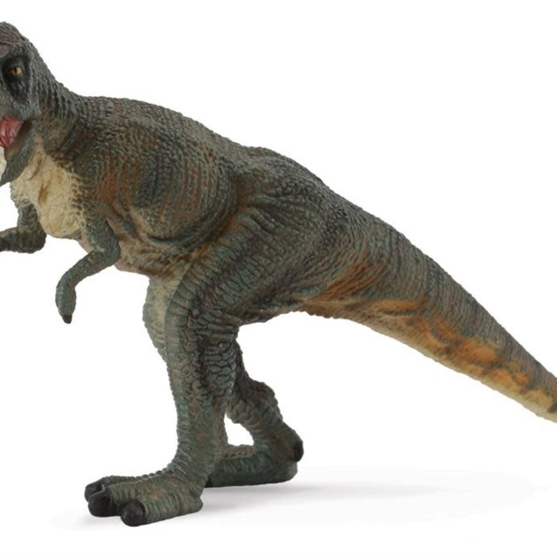 Collecta Tyrannosaurus - (L)