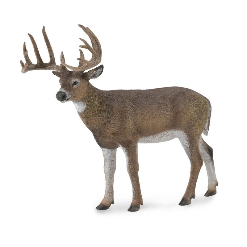Collecta White-Tailed Deer - (L)