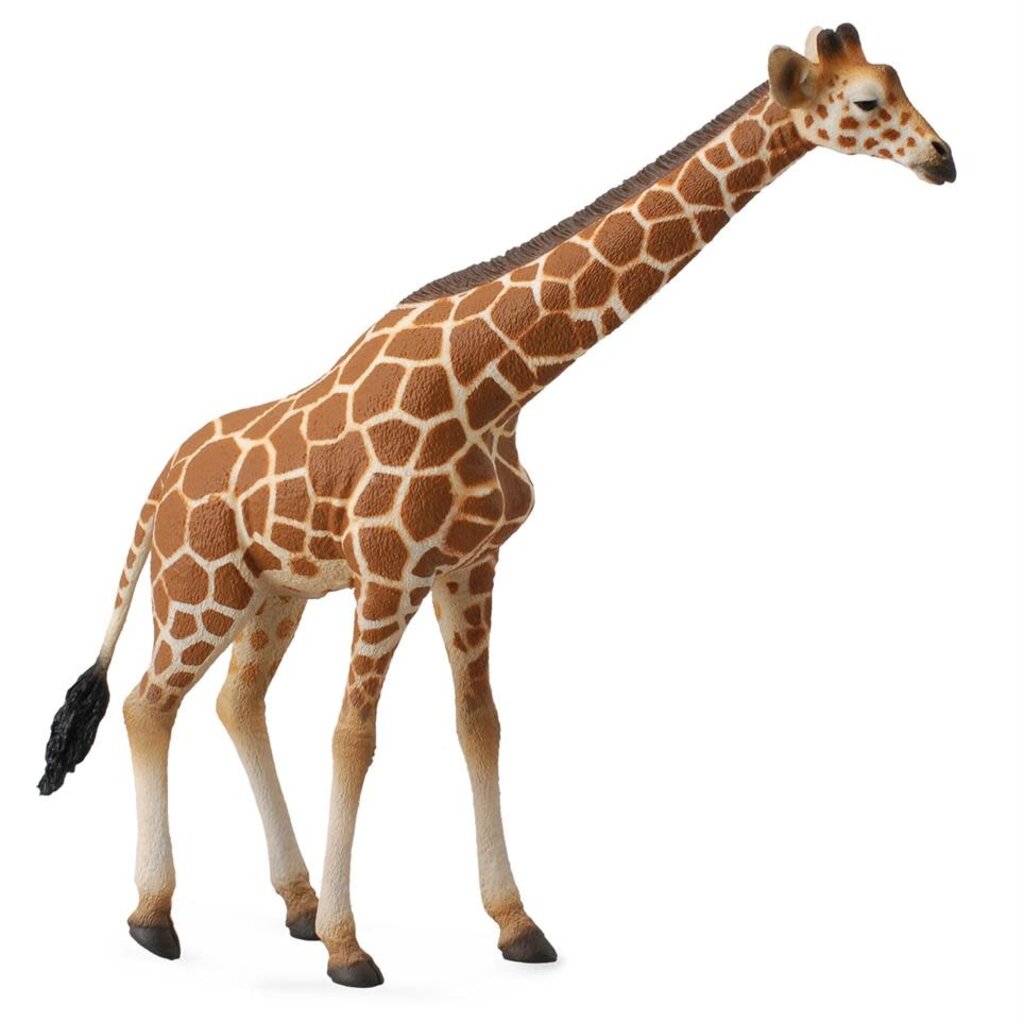 Collecta Giraffe - (XL)