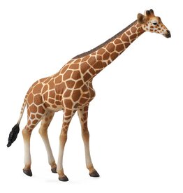 Collecta Giraffe - (XL)