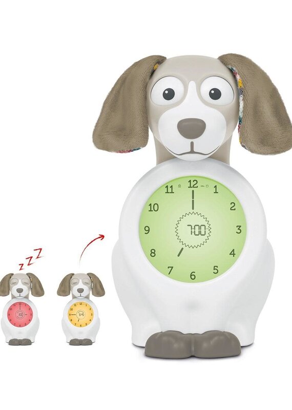 Zazu Slaaptrainer Davy de Hond