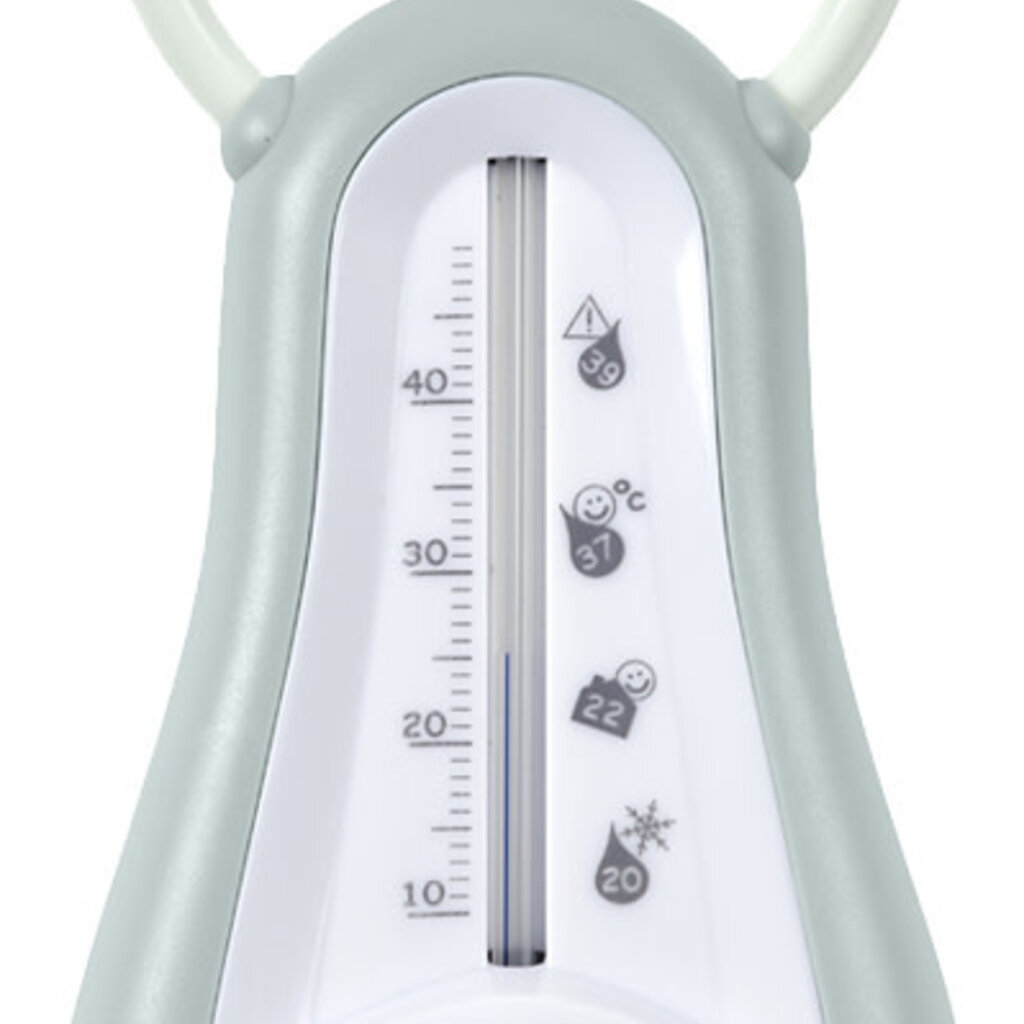 Beaba Badthermometer - Green Blue