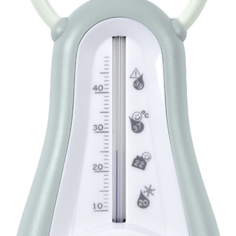 Beaba Badthermometer - Green Blue