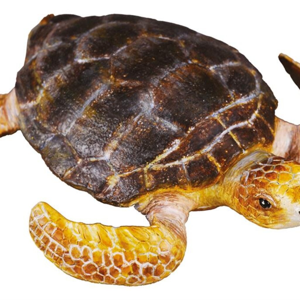 Collecta Turtle - (M)