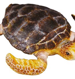 Collecta Turtle - (M)