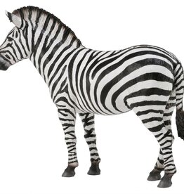 Collecta Common Zebra - (L)