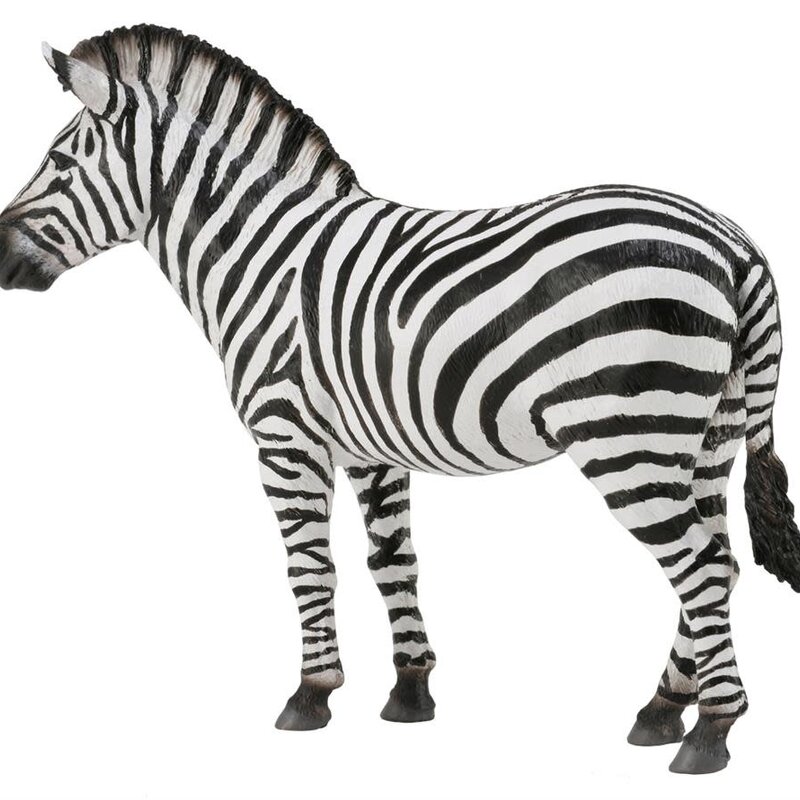 Collecta Common Zebra - (L)