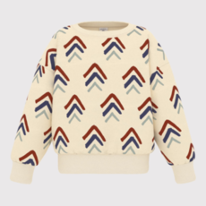 Petit Bateau Sweatshirt A Capuche Avalanche/Multico A09W6