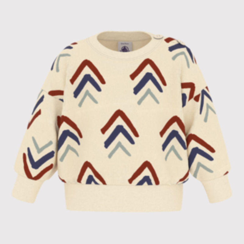 Petit Bateau Sweatshirt Avalanche/Incognito/Multico A09Xb