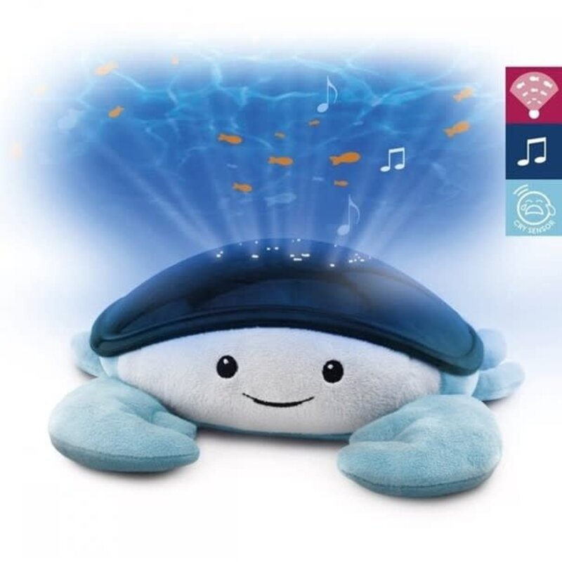 Zazu Cody Ocean Projector