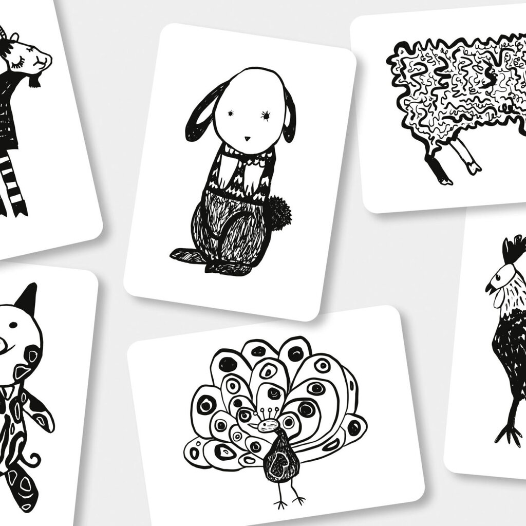 Mini Coco Flash Cards Farm Animals