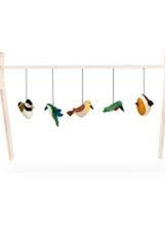 Quax Set of 5 activity toys - Birds
