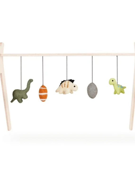 Quax Set of 5 activity toys - Dino