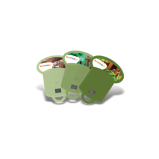 Kidywolf Jungle Book voor Kidyslide