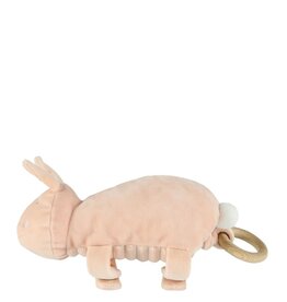 Trixie Music toy - Mr. Dino