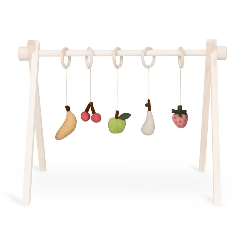 Quax Copy of Set of 5 activity toys - Dino