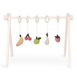 Quax Copy of Set of 5 activity toys - Dino