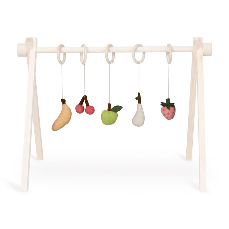 Quax Copy of Set of 5 activity toys - Dino