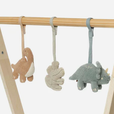 Jollein Babygym Speeltjes Roarsome