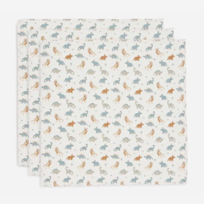 Jollein Hydrofiele Doek Small 70x70cm Roarsome (3pack)