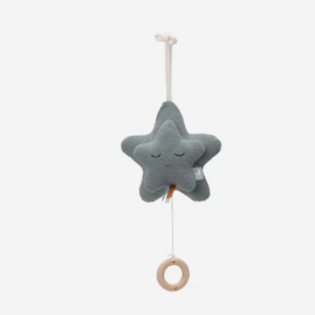Jollein Muziekhanger Star Sea Green