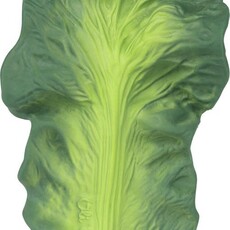 Oli&Caroll Kendall the Kale