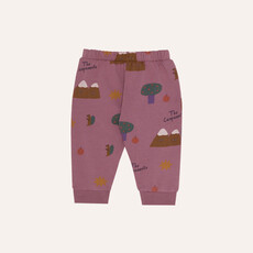 The Campamento Mountains Purple Baby Jogging