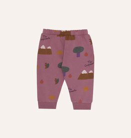 The Campamento Mountains Purple Baby Jogging