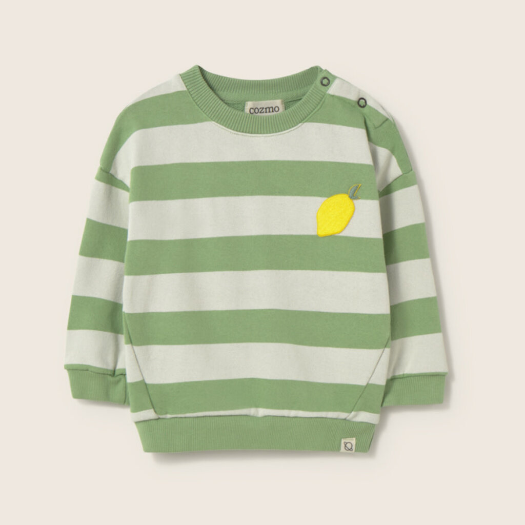 Cozmo Soft Fleece Print Baby Sweatshirt Green-Soft Fleece ss26