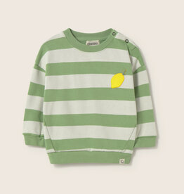 Cozmo Soft Fleece Print Baby Sweatshirt Green-Soft Fleece ss26