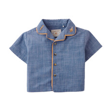 Gingersnaps Baby Havana Paradise Ibws0575 Blue