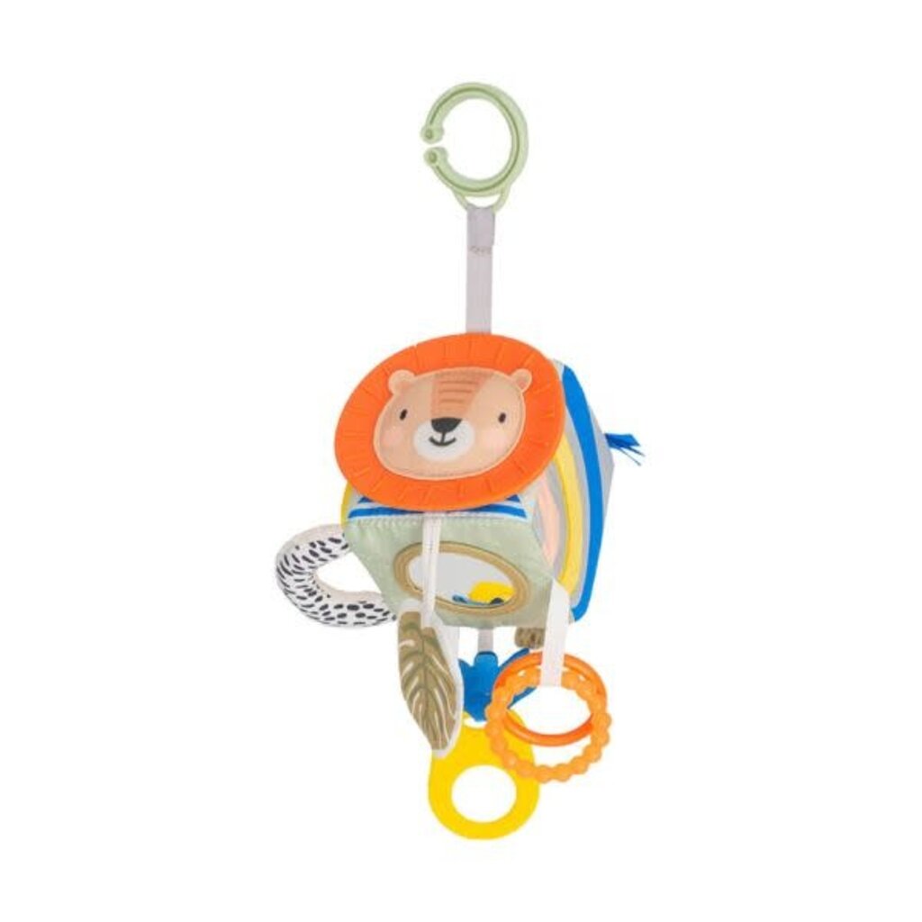 TafToys Savannah Discovery Cube
