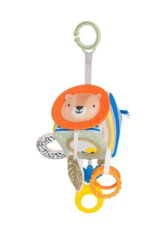 TafToys Savannah Discovery Cube