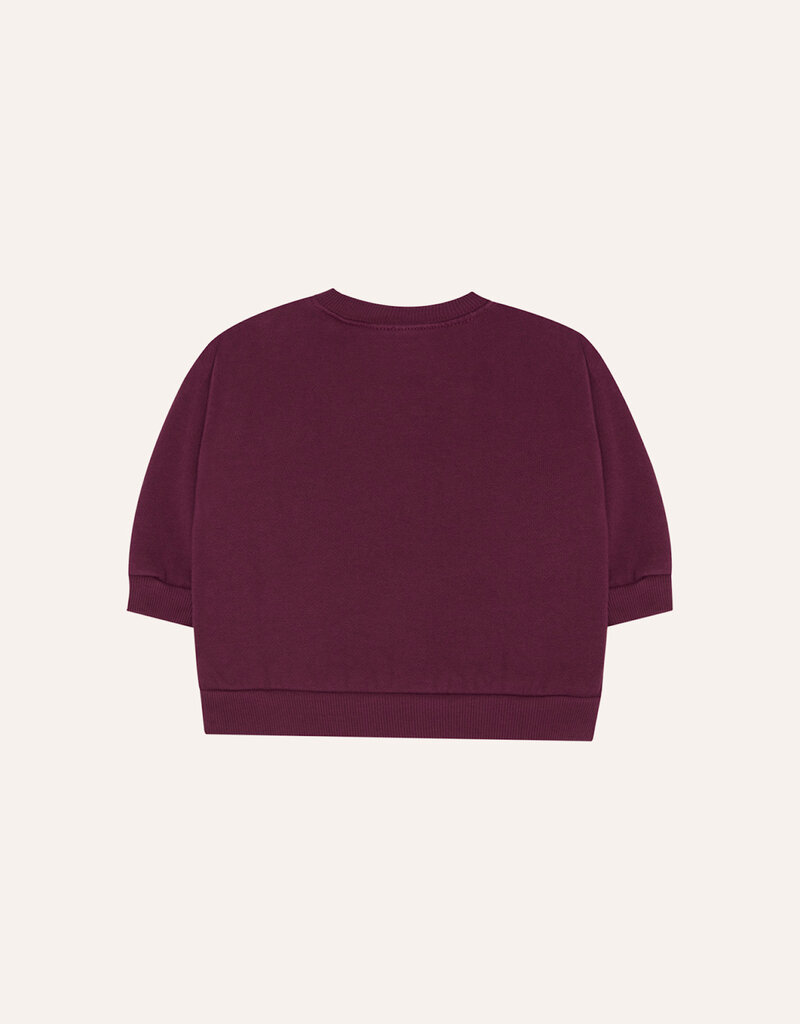 The Campamento Big Blue Daisy Baby Sweatshirt aw26