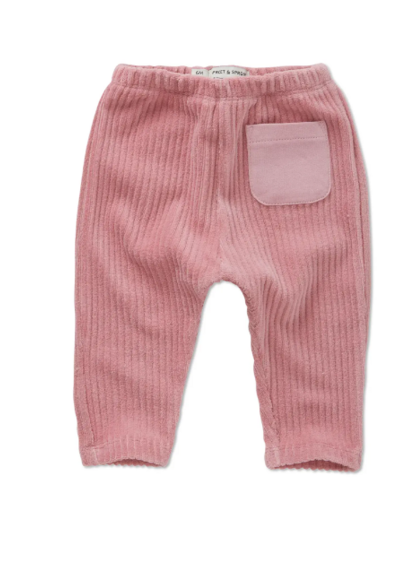Sproet & Sprout Baby velvet rib pants pink Painters blush aw26